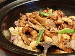 -中国坊中餐厅(石家庄希尔顿酒店)