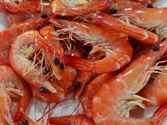 -红月湾海鲜饭店•沙滩海景(双月湾店)