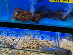 -苏格里岛自助海鲜烤肉(青秀万达店)