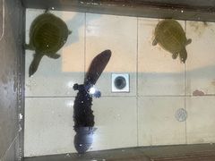 -鄱阳湖·江西小炒·瓦罐煨汤(五道口店)