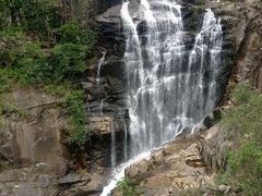 -海南热带雨林国家公园吊罗山景区