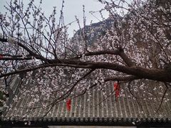 -北京凤凰岭