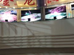 -金龙渔港(双楠店)