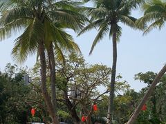 -白沙门生态公园