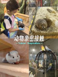 -神奇动物撸宠馆·羊驼·小浣熊·异宠(豫园店)