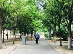-青城公园