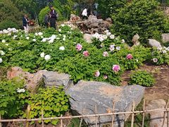 -郑州植物园