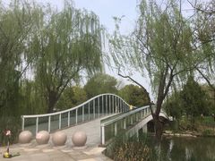 -九里河湿地公园