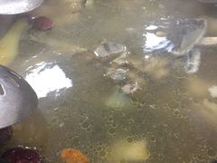 野生水鱼-濠轩阁特色生蚝火锅(水湾路店)