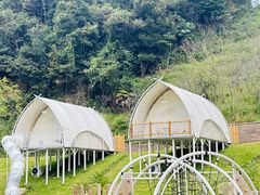 -江西阳明山国家森林公园