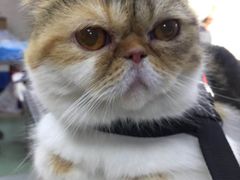 -康乐宝动物医院