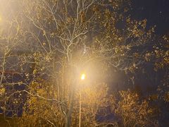 -清真·马文砂锅大全(麦苋街店)