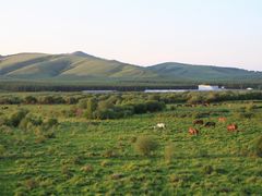 -塞罕坝国家级自然保护区