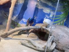 -苏州海洋馆