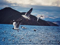 -丽江泸沽湖景区