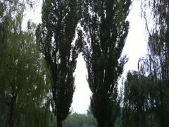 -紫竹院公园冰场