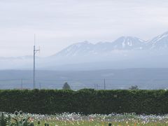 -富田农场