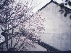 -状元楼(金溪路店)