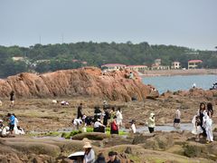 -青岛第二海水浴场