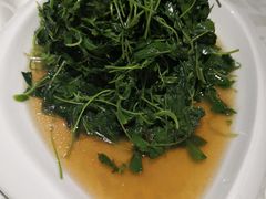 -抚顺美食·老上海味道