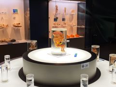 -生命奥秘博物馆