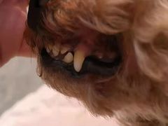 -宠颐生宠物医院·心肾内科·猫专科诊疗中心宠巢店