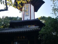 -上海佘山国家森林公园天马山园