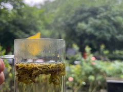 -阿巧茶庄