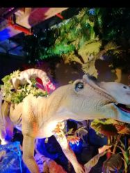 -恐龙探索乐园(磁器口店)