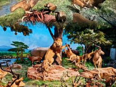 -国家自然博物馆