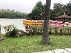 -海上田园