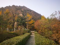 -北京鹫峰国家森林公园