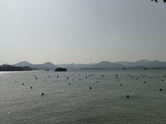 -西湖游船