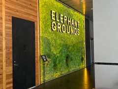 -大象园ELEPHANT GROUNDS(万象天地店)