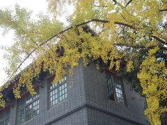 -四川大学(华西校区)