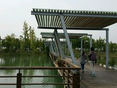 -阳澄湖费尔蒙酒店颐丰阁中餐厅(马鞍山西路店)