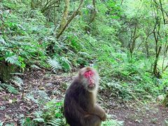 -西岭雪山大飞水景区