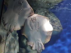 -福州罗源湾海洋世界旅游区