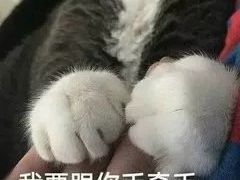 -陈记柳州螺蛳粉(大坪店)