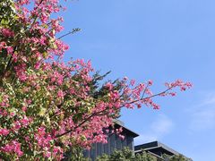 -万科前海企业公馆