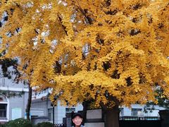 -周恩来同志少年读书旧址