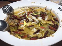 老坛子酸菜鱼-新太二·鲜料川菜(万泰汇店)