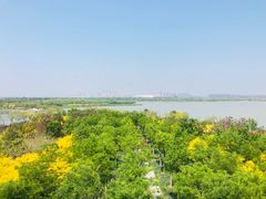 -天津东丽湖风景区