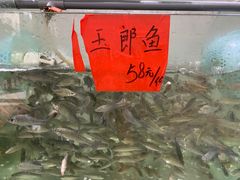 -天和楼·精致太湖酒家(太湖店)