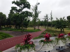 -上海山野camping·户外天幕烧烤·团建拓展营地