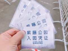 -嘉定紫藤园