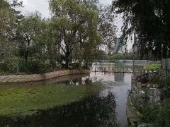 -莲花池公园