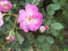 -白塘生态植物园