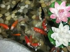 -长春宾馆·丽豪浴都