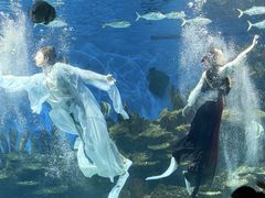 -海合安武汉极地海洋公园